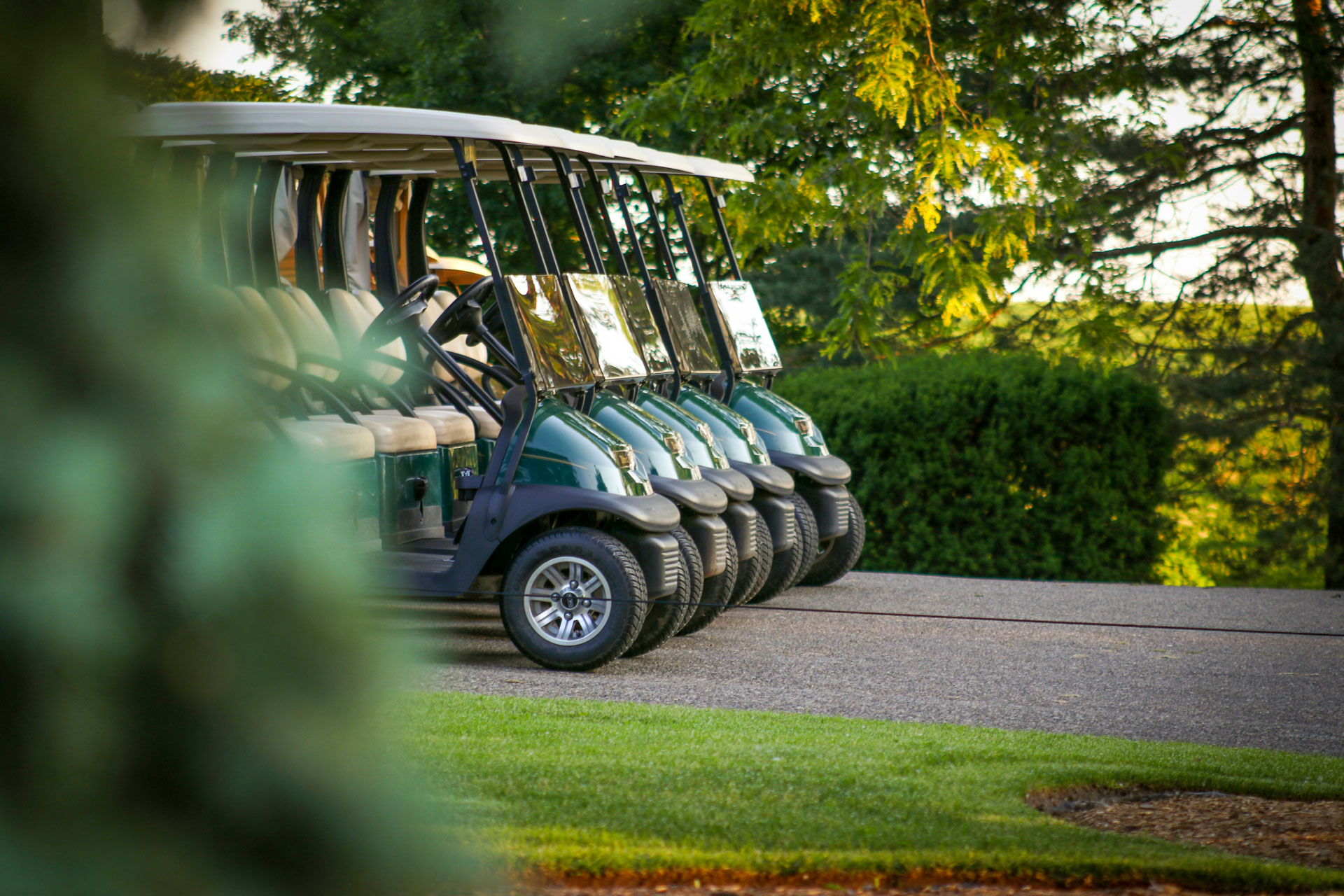 golf carts lined up outside