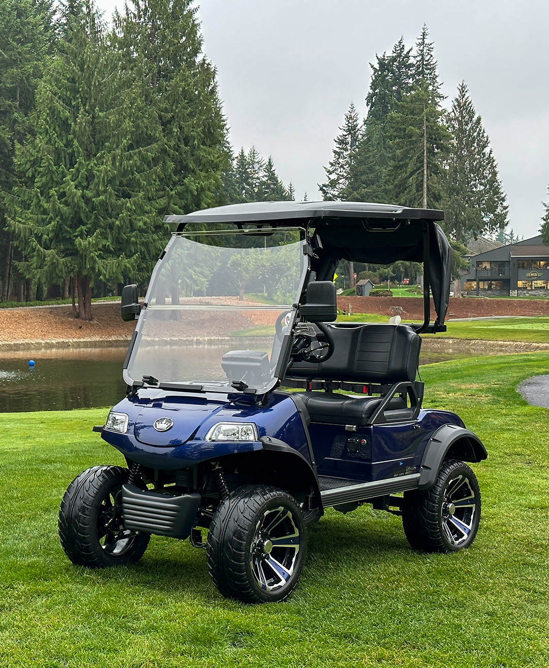 Golf Cart parked in a yard with a pond behind it